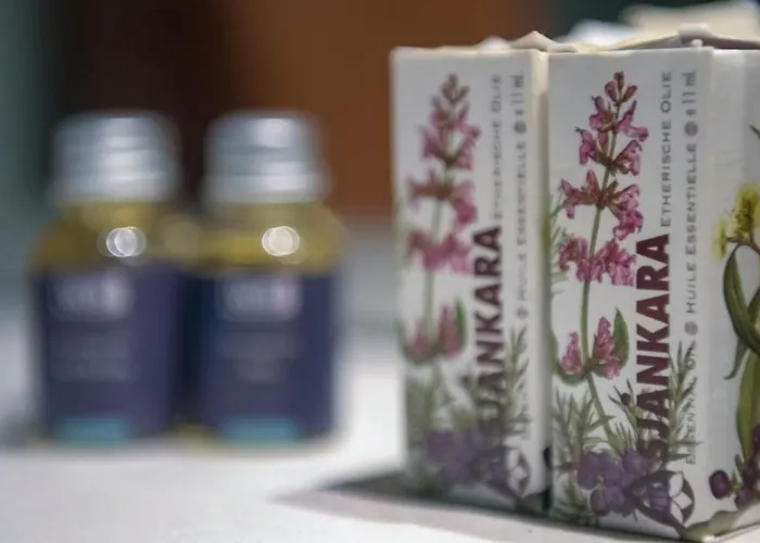 Grand 4* הרסוניסוס